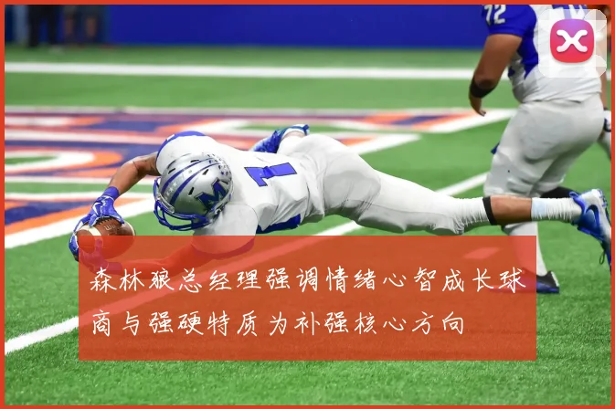 森林狼总经理强调情绪心智成长球商与强硬特质为补强核心方向