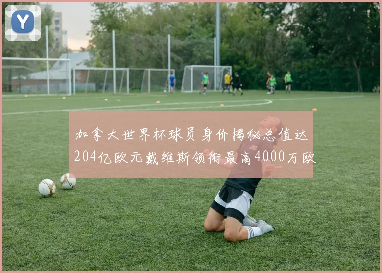 加拿大世界杯球员身价揭秘总值达204亿欧元戴维斯领衔最高4000万欧
