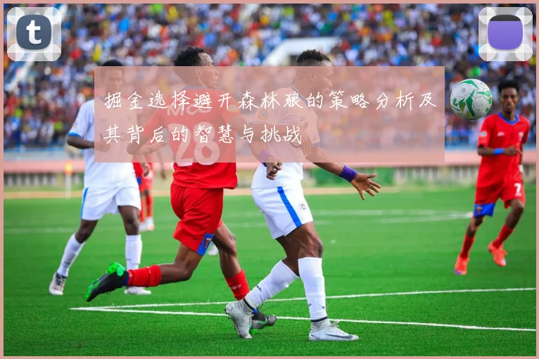 掘金选择避开森林狼的策略分析及其背后的智慧与挑战